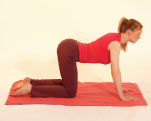 Dru Yoga cat posture 2, marjariasana