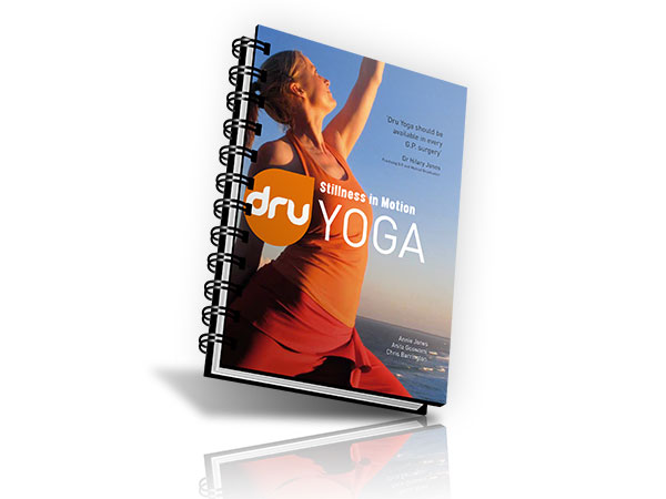 Dru Yoga stillness in motion book