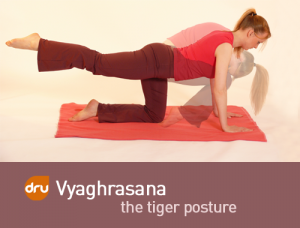 yoga-pose-tiger